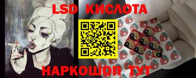 гидропоника Сланцы