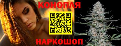 гидропоника Сланцы