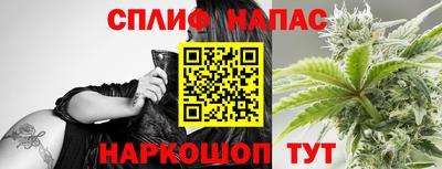 гидропоника Славгород