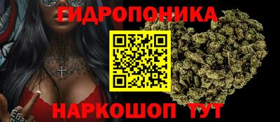 гидропоника Сланцы